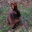 Inka Dudek's avatar